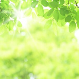 2021年9月の出来事について　Part3